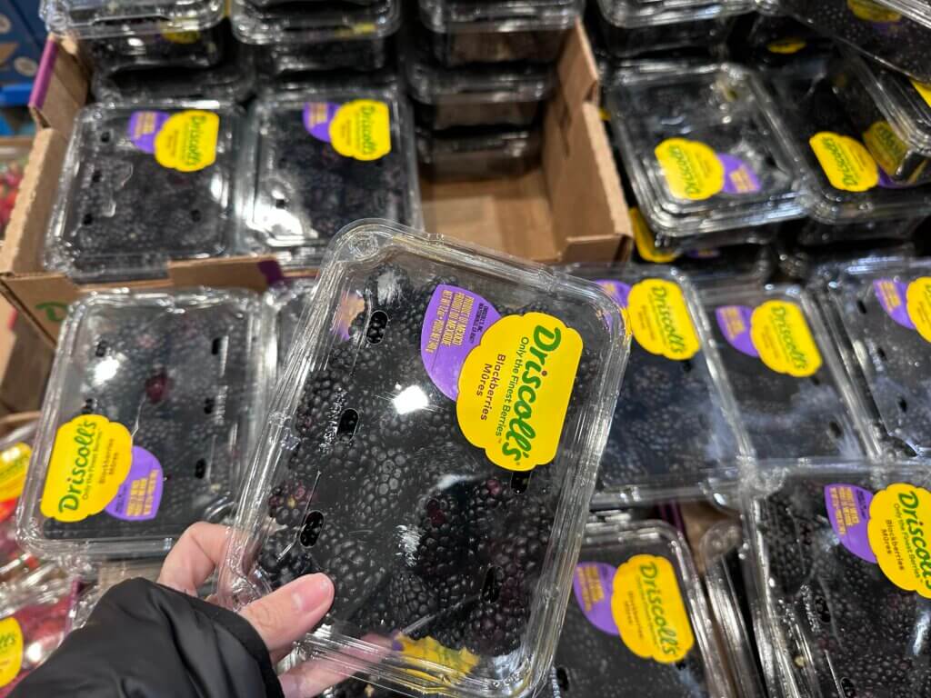 Evaxo Blackberries